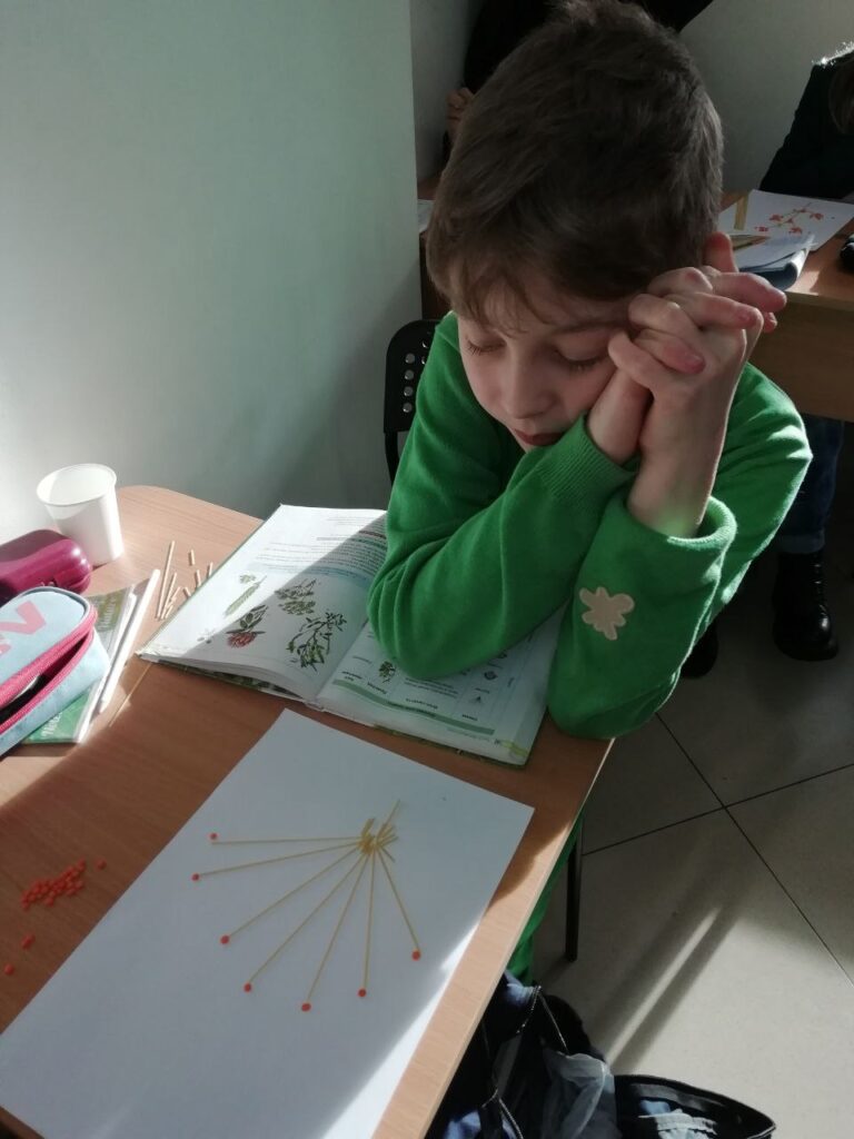 Ліцей "Перспективи" урок біології